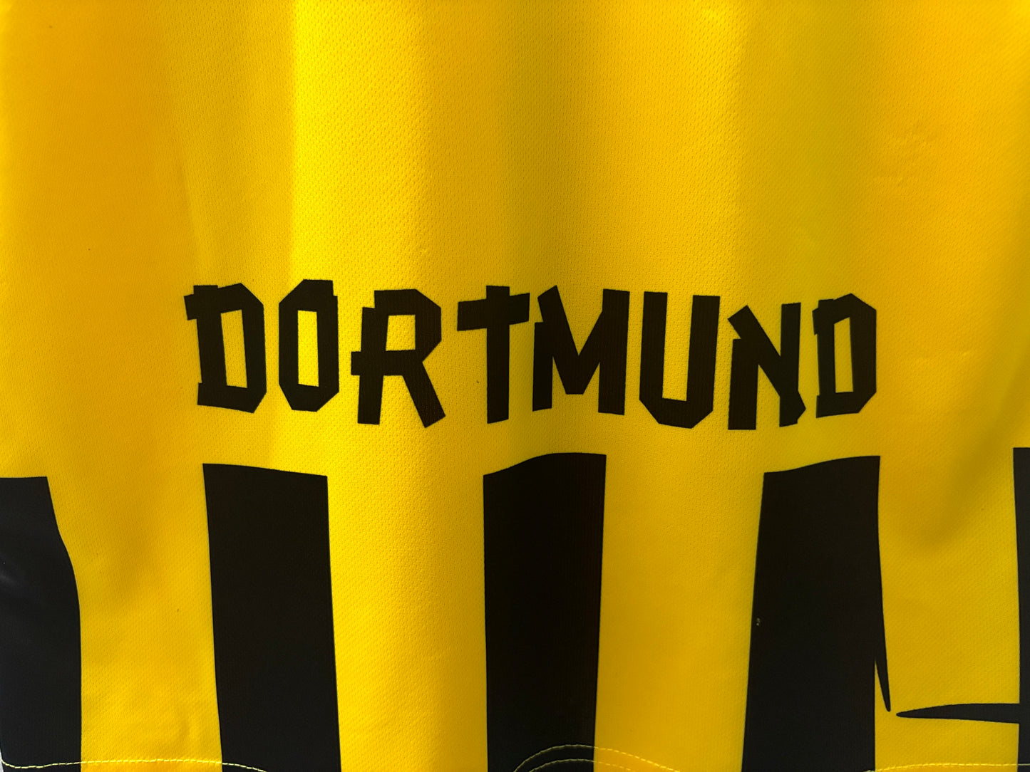 Dortmund Home 12-13