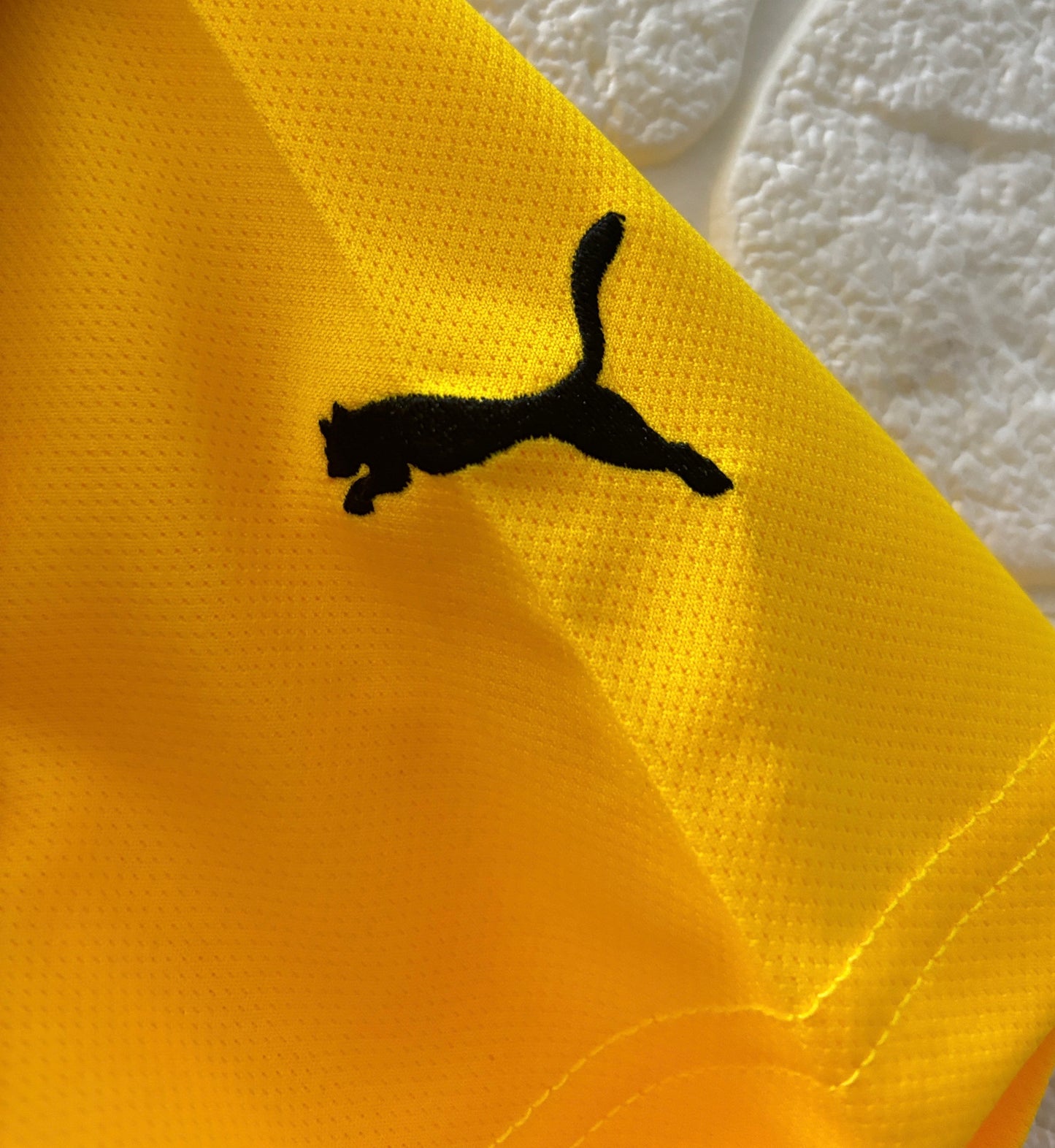 Dortmund Home 12-13