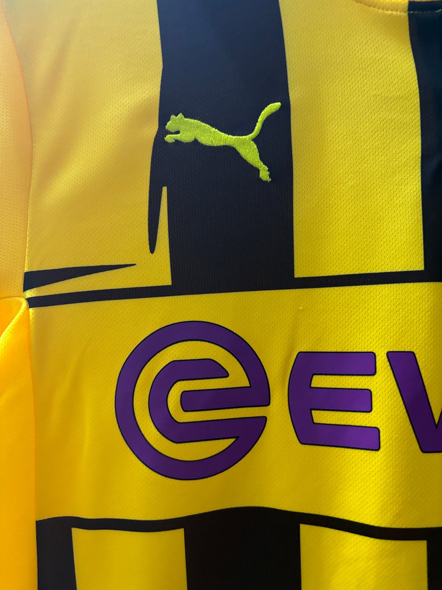Dortmund Home 12-13
